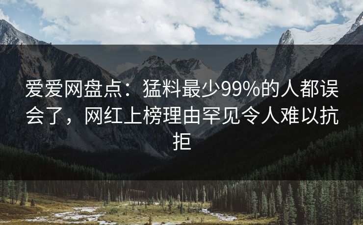 爱爱网盘点：猛料最少99%的人都误会了，网红上榜理由罕见令人难以抗拒