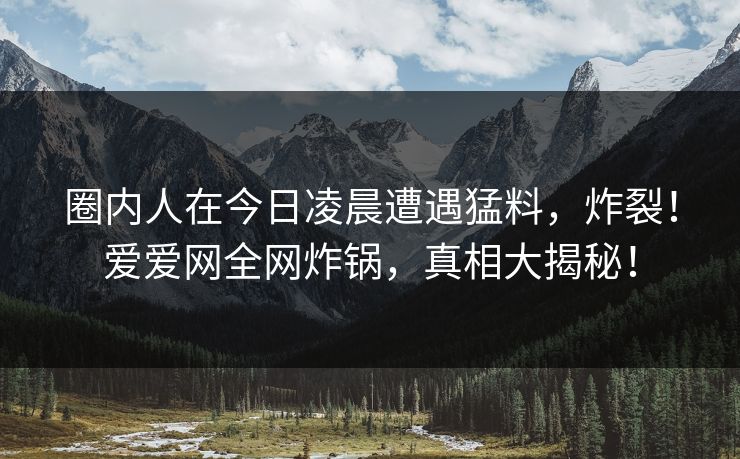 圈内人在今日凌晨遭遇猛料，炸裂！爱爱网全网炸锅，真相大揭秘！